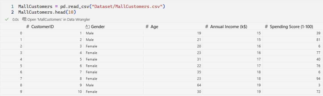 Customer Dataset
